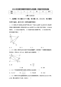 2024年合肥市寿春中学数学九年级第一学期开学统考试题【含答案】