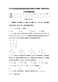 2024年河北省定州市杨家庄初级中学数学九年级第一学期开学学业水平测试模拟试题【含答案】