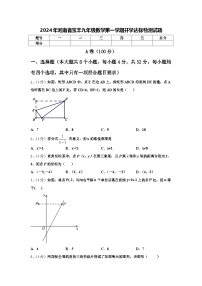 2024年河南省宝丰九年级数学第一学期开学达标检测试题【含答案】