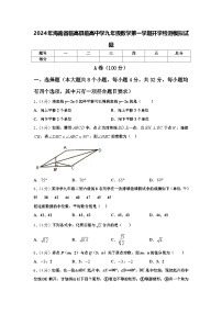 2024年海南省临高县临高中学九年级数学第一学期开学检测模拟试题【含答案】