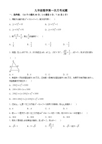 河北省秦皇岛市青龙满族自治县私立阳光学校2024-2025学年九年级上学期9月月考数学试题(无答案)