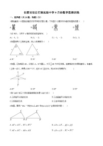 长郡双语白石湖实验中学2023-2024学年八年级上学期第一次月考数学试题（原卷及解析版）