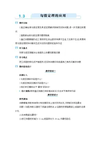 北师大版（2024）八年级上册3 勾股定理的应用教案