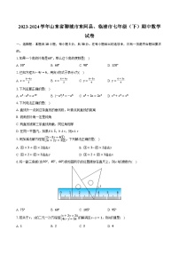 2023-2024学年山东省聊城市东阿县、临清市七年级（下）期中数学试卷（含答案）