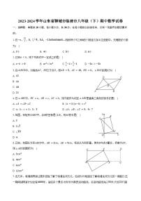 2023-2024学年山东省聊城市临清市八年级（下）期中数学试卷（含答案）