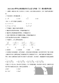 2023-2024学年山东省临沂市兰山区七年级（下）期末数学试卷（含答案）