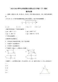 2023-2024学年山东省泰安市泰山区七年级（下）期末数学试卷（五四学制）（含答案）
