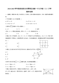 2024-2025学年陕西省西安市雁塔区高新一中九年级（上）开学数学试卷（含解析）