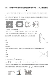 2024-2025学年广东省深圳市龙岗实验学校九年级（上）开学数学试卷（含答案）