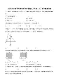 2023-2024学年河南省周口市郸城县八年级（上）期末数学试卷（含答案）