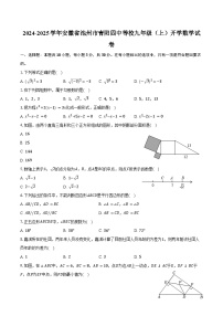 2024-2025学年安徽省池州市青阳四中等校九年级（上）开学数学试卷（含答案）