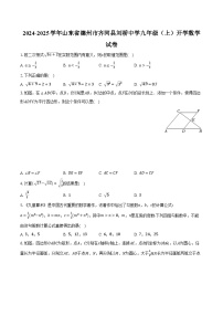 2024-2025学年山东省德州市齐河县刘桥中学九年级（上）开学数学试卷（含解析）