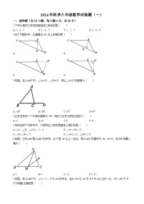 湖北省孝感市汉川市部分学校2024-2025学年八年级上学期第一次月考数学试卷(无答案)