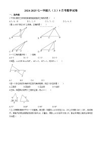 湖北省武汉市七一华源中学2024-2025学年八年级上学期第一次月考数学试题(无答案)