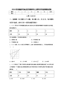 2024年河南省平顶山宝丰县联考九上数学开学监测模拟试题【含答案】