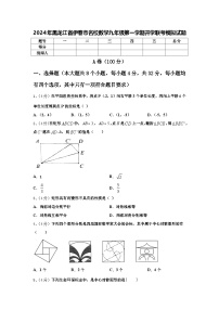 2024年黑龙江省伊春市名校数学九年级第一学期开学联考模拟试题【含答案】