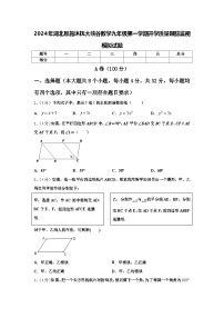 2024年湖北恩施沐抚大峡谷数学九年级第一学期开学质量跟踪监视模拟试题【含答案】