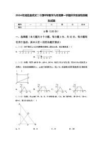 2024年湖北省武汉二十四中学数学九年级第一学期开学质量检测模拟试题【含答案】