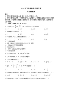 湖南省衡阳市衡阳县弘扬中学2024-2025学年八年级上学期第一次月考数学试题(无答案)