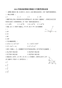 陕西省渭南市韩城市2024届九年级下学期中考模拟考试数学试卷(含答案)