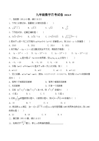 河南省南阳市内乡县赵店初级中学2024-2025学年九年级上学期9月月考数学试题