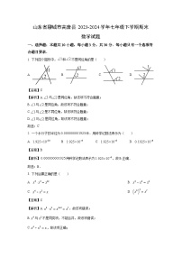 [数学][期末]山东省聊城市高唐县2023-2024学年七年级下学期期末试题(解析版)