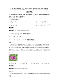 [数学][期末]山东省济南市章丘区2023-2024学年七年级下学期期末试题(解析版)
