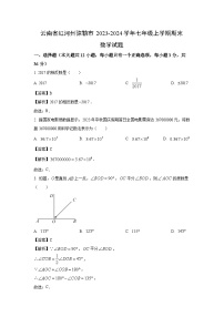 【数学】云南省红河州弥勒市2023-2024学年七年级上学期期末试题（解析版）