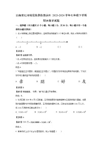 【数学】云南省红河哈尼族彝族自治州2023-2024学年七年级下学期期末试题（解析版）