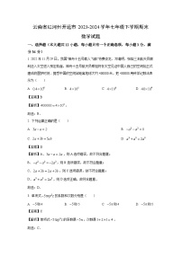 【数学】云南省红河州开远市2023-2024学年七年级下学期期末试题（解析版）