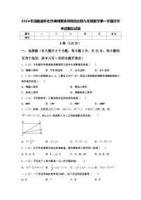 2024年湖南省怀化市靖州苗族侗族自治县九年级数学第一学期开学考试模拟试题【含答案】