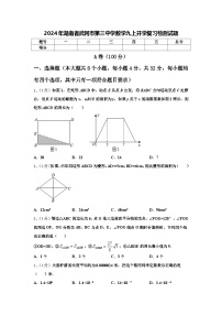 2024年湖南省武冈市第三中学数学九上开学复习检测试题【含答案】