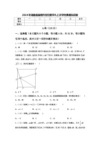 2024年湖南省益阳市名校数学九上开学经典模拟试题【含答案】