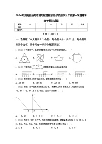 2024年湖南省益阳市资阳区国基实验学校数学九年级第一学期开学统考模拟试题【含答案】