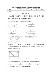 2024年湖南省重点中学九上数学开学质量检测试题【含答案】