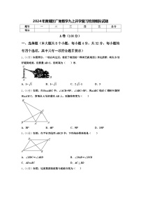 2024年黄埔区广附数学九上开学复习检测模拟试题【含答案】