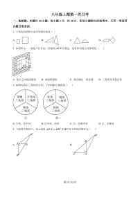 河南信阳2024年八年级上学期第一次月考数学试题+答案