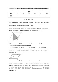 2024年江苏省盐城市中学九年级数学第一学期开学质量检测模拟试题【含答案】