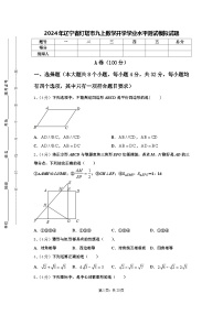 2024年辽宁省灯塔市九上数学开学学业水平测试模拟试题【含答案】