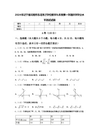 2024年辽宁省沈阳市东北育才学校数学九年级第一学期开学学业水平测试试题【含答案】