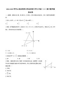 2024-2025学年山东省菏泽市单县希望中学九年级（上）期中数学模拟试卷（含解析）