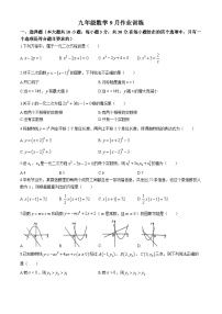 广东省广州市广东番禺中学附属学校2024~2025学年九年级上学期九月月考数学试卷(无答案)