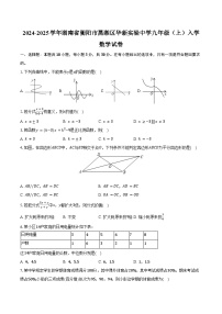 2024-2025学年湖南省衡阳市蒸湘区华新实验中学九年级（上）入学数学试卷（含答案）