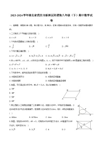 2023-2024学年湖北省武汉市新洲区阳逻街八年级（下）期中数学试卷（含答案）