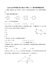 2024-2025学年浙江省宁波市八年级（上）期中数学模拟试卷（含解析）