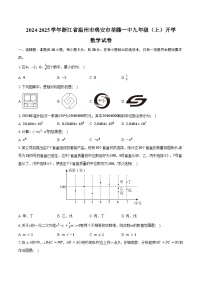 2024-2025学年浙江省温州市瑞安市莘塍一中九年级（上）开学数学试卷（含解析）