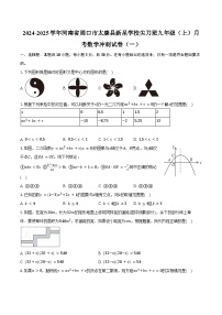 2024-2025学年河南省周口市太康县新星学校尖刀班九年级（上）月考数学冲刺试卷（一）（含解析）