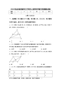 2024年山东省济南市汇才学校九上数学开学复习检测模拟试题【含答案】