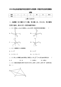 2024年山东省济南市章丘区数学九年级第一学期开学达标检测模拟试题【含答案】