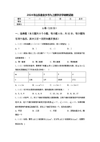 2024年山东省金乡市九上数学开学调研试题【含答案】